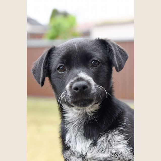 Photo of Miss Cassie 