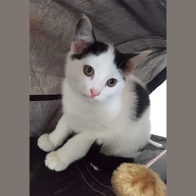 Photo of Maru