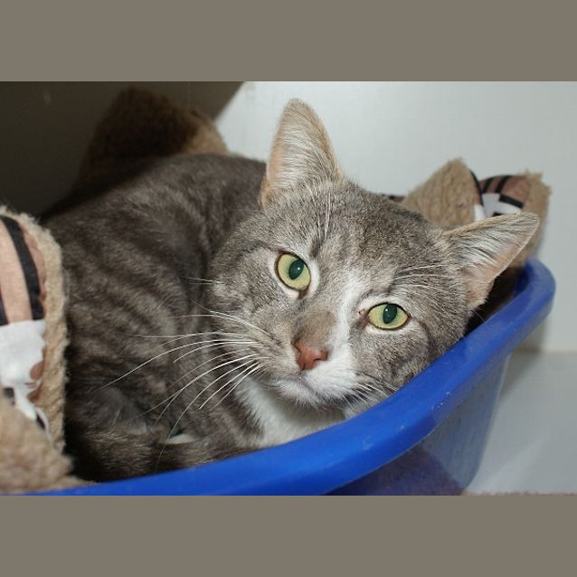 Photo of Bernie Sua002964