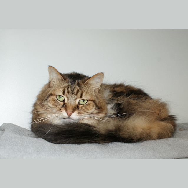 Photo of Lexie Sua002962