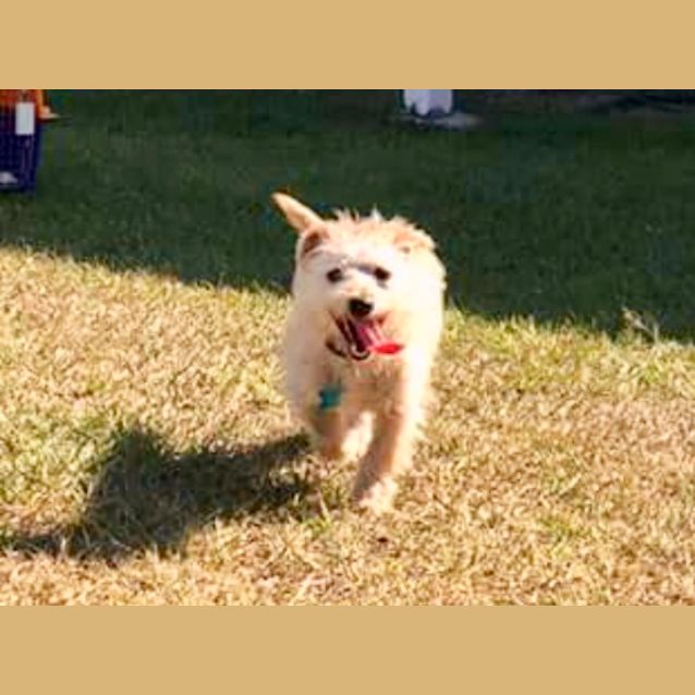 Photo of Zero