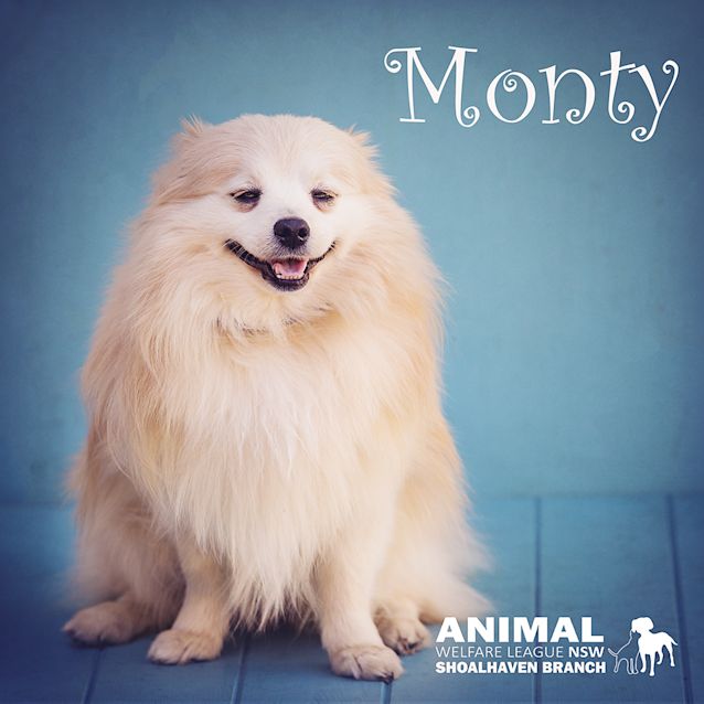 Photo of Monty