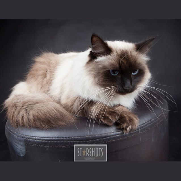 Photo of Jasmine