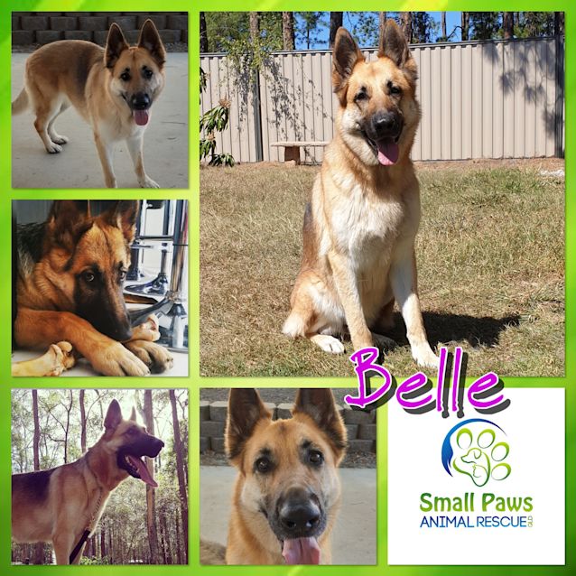Photo of Belle