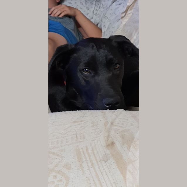 Photo of Casper