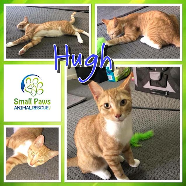 Photo of Hugh
