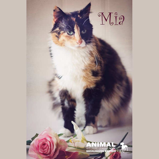 Photo of Mia
