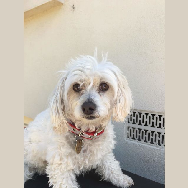 Photo of Bailey And Angus