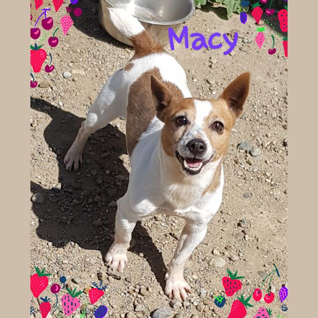 Photo of Macy (090918)