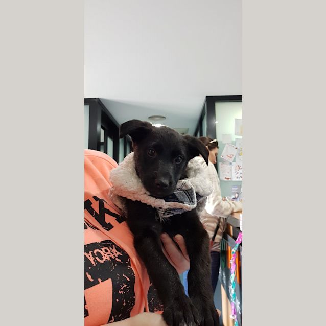 Photo of Kiora