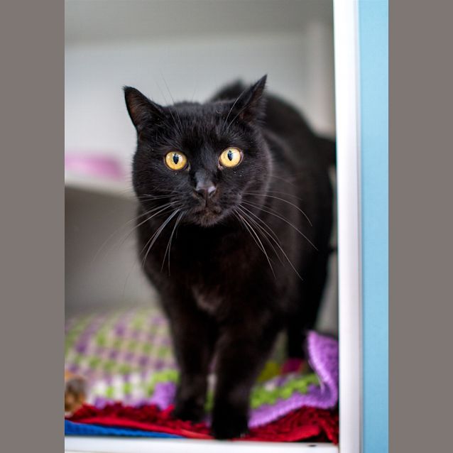 Photo of Luna