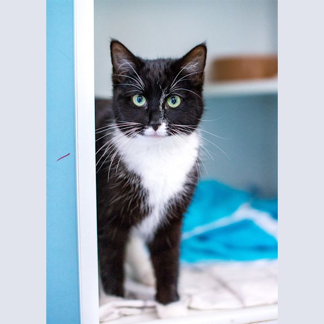 Photo of Mitzi
