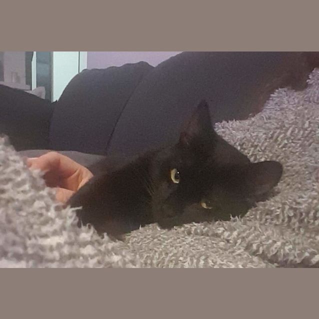 Photo of Blackie Chan