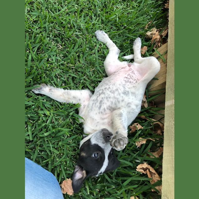 Photo of Pepa 