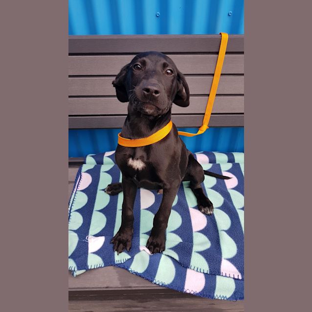 Photo of Albie