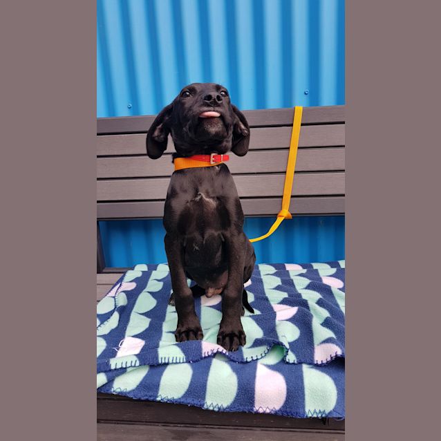 Photo of Tex