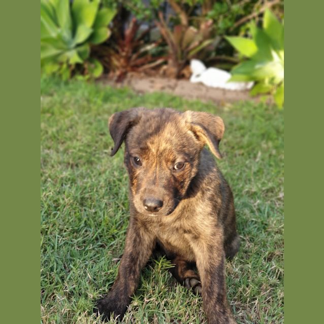 Photo of Axel 