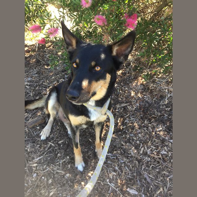 Photo of Missy