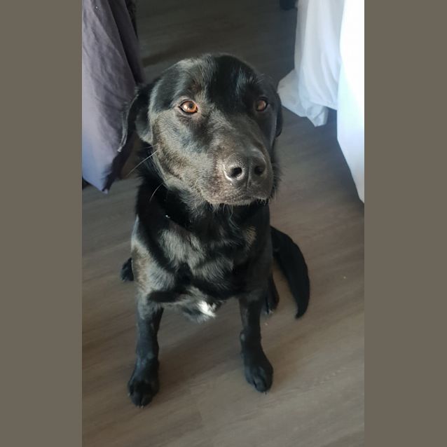 Photo of **On Trial** Blaze