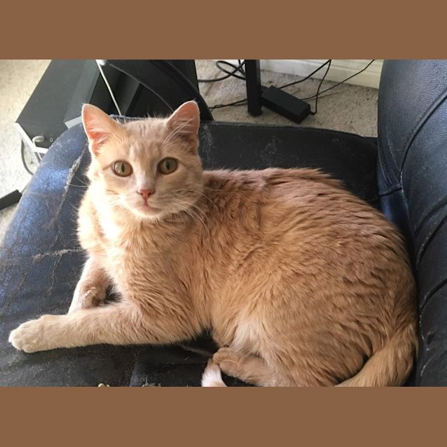 Photo of Max