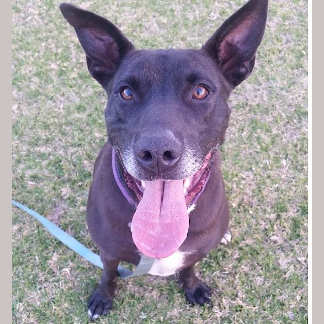 Photo of Conan Ed0162