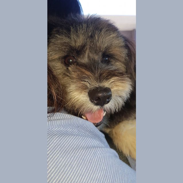 Photo of **On Trial** Ted