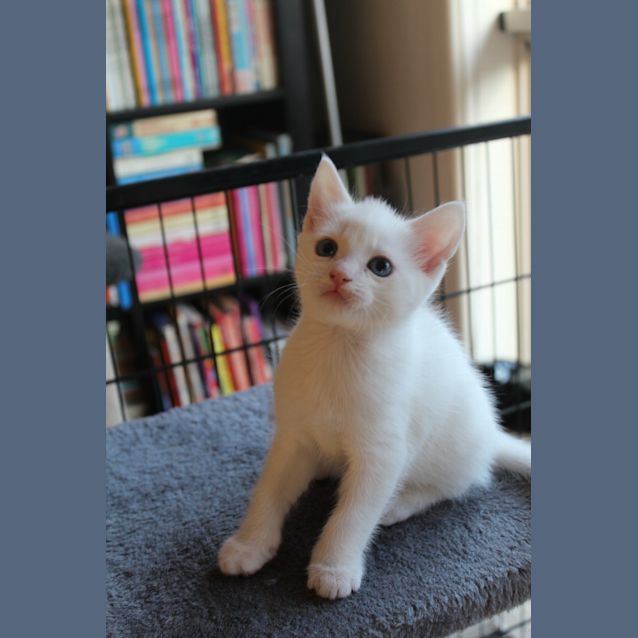 Photo of Aspen