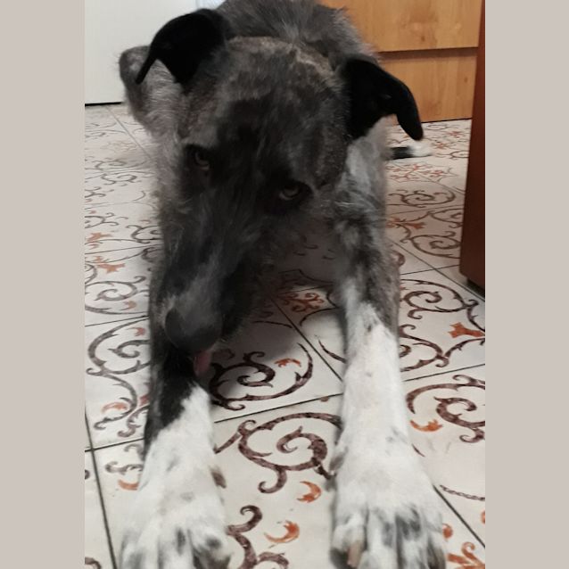 Photo of Axena