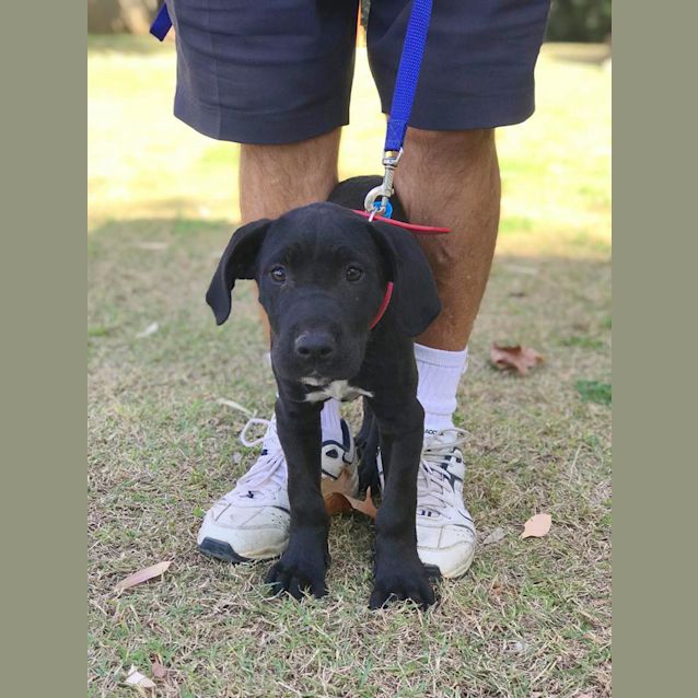Photo of Delilah