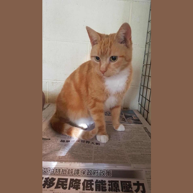 Photo of 909 Minibar