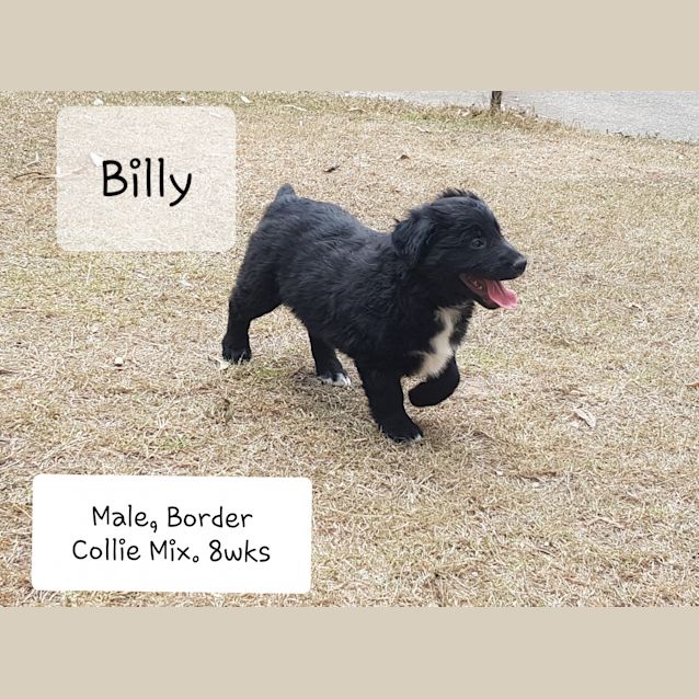 Photo of Billy