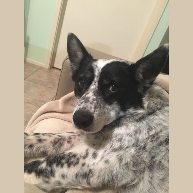 Photo of Molly ** On Trial**