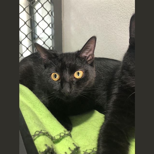 Photo of Franny