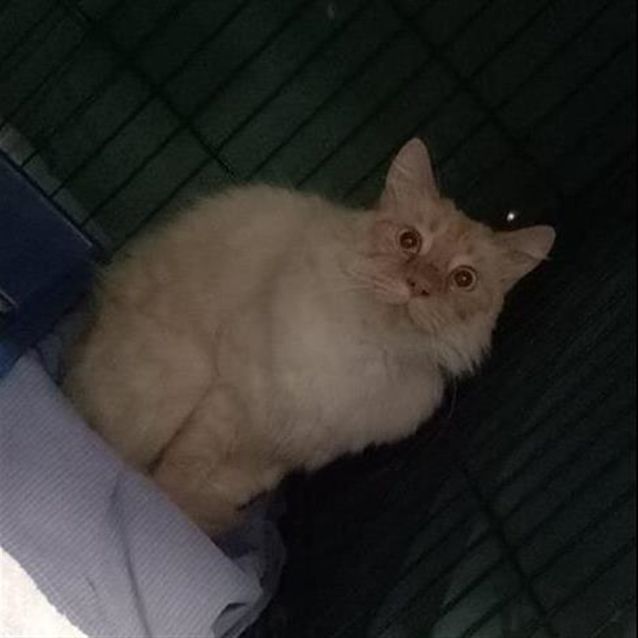 Photo of Jack