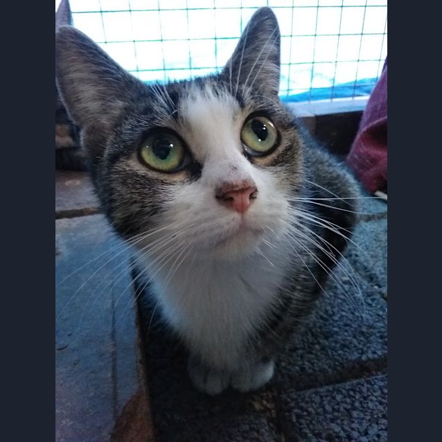 Photo of Matilda