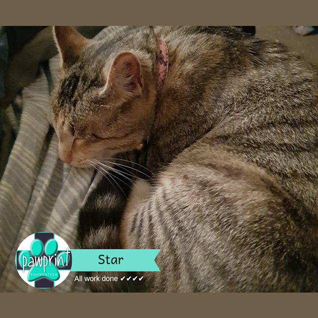 Photo of Star