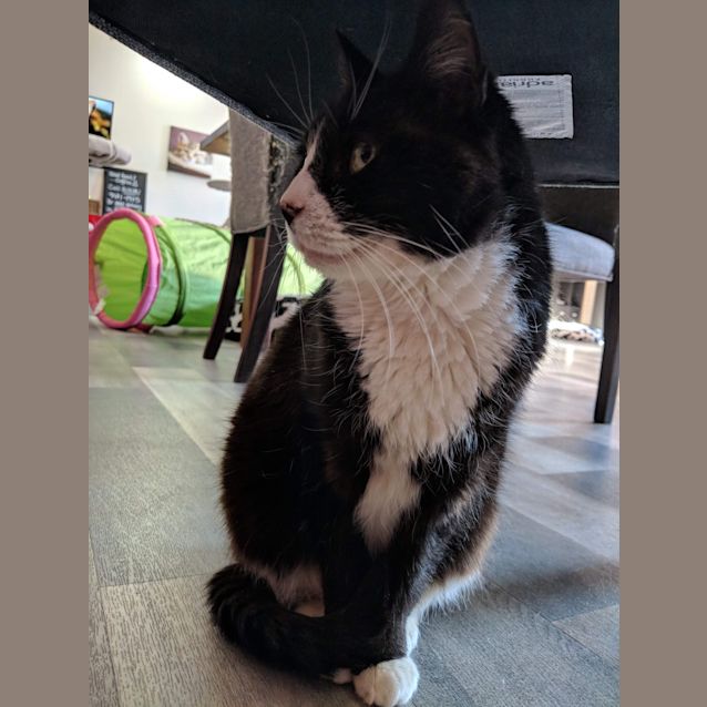 Photo of Cherry   Located In Richmond