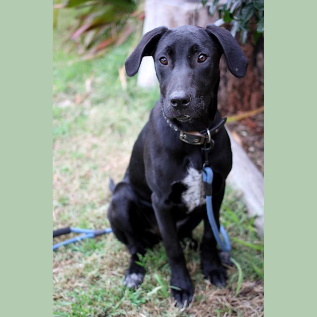 Photo of Jazz