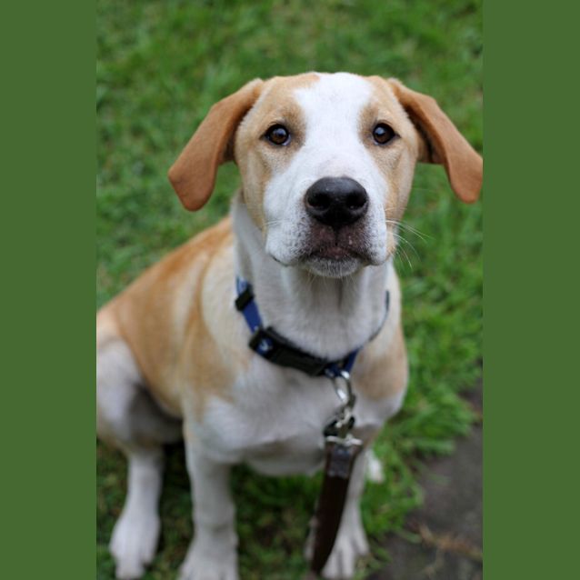 Photo of Bella Or Bells