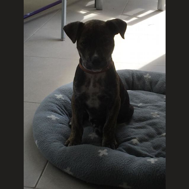 Photo of Khaki