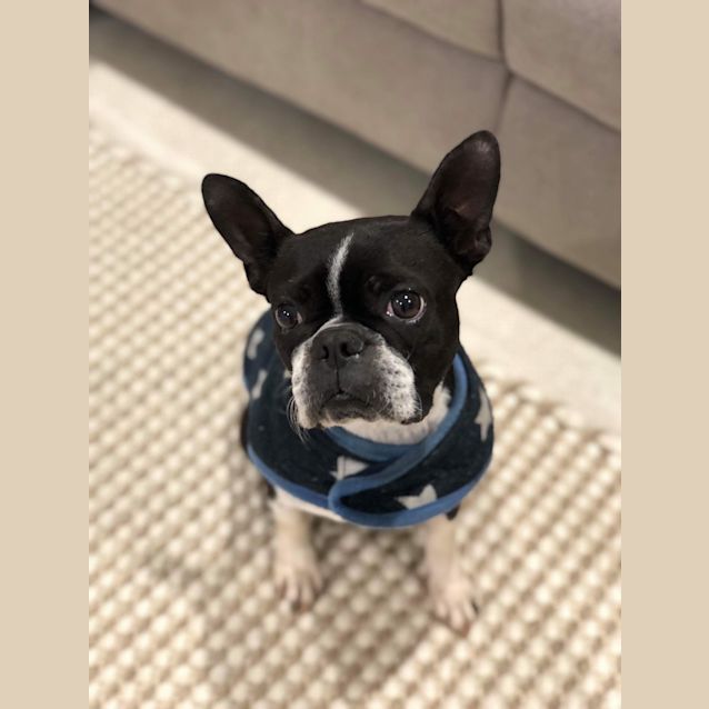 Photo of Annabelle