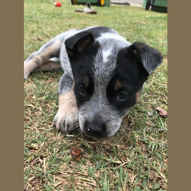 Photo of Matilda