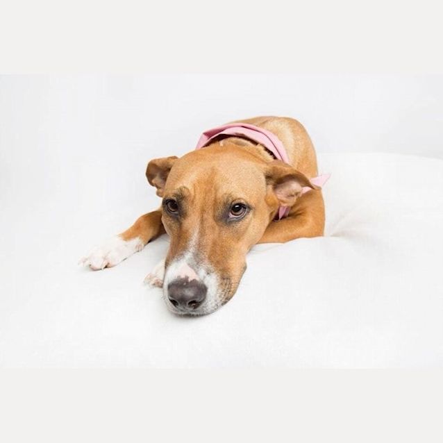 Photo of Maya
