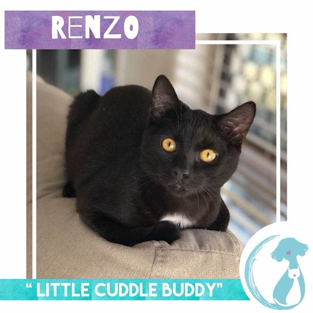 Photo of Renzo 