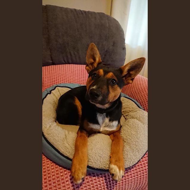 Photo of Zoe