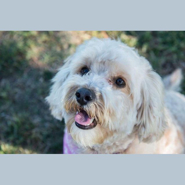 Photo of Princess Penny