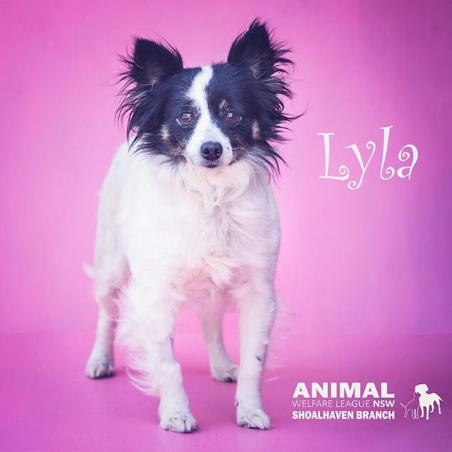 Photo of Lyla