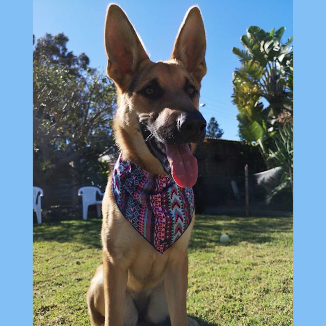 Photo of Yuki   Meet And Greet Organised