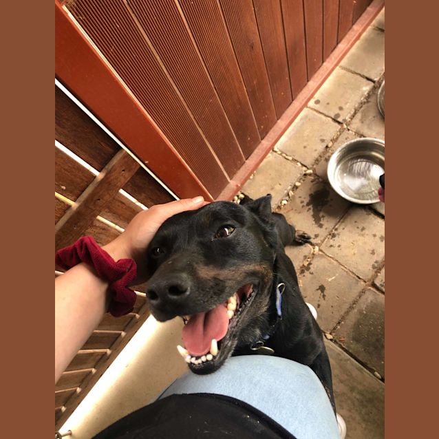 Photo of Bazza