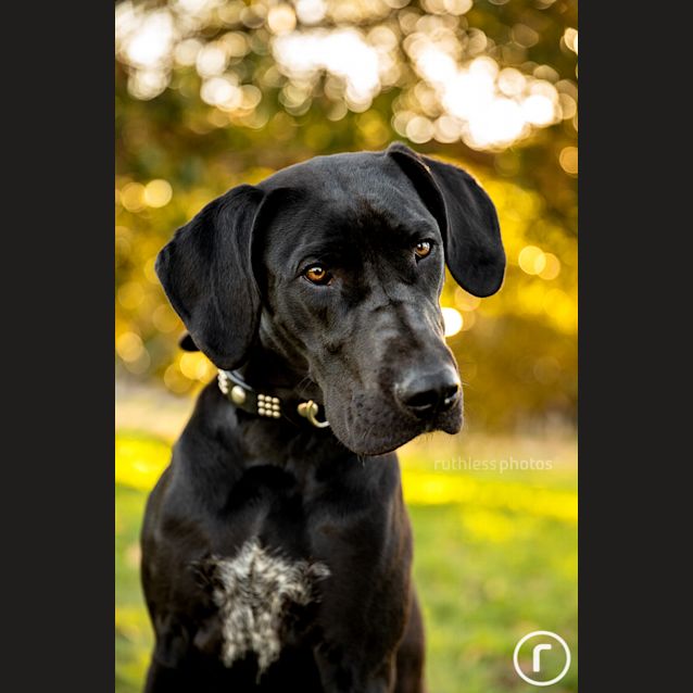 Photo of Cue